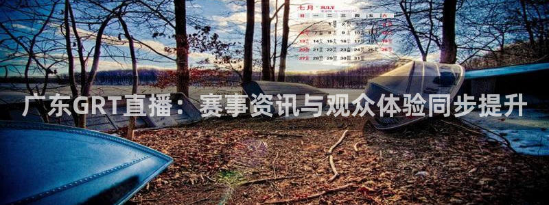 摩根娱乐在线预测
