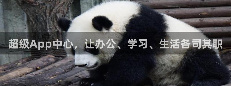 壹号电子娱乐app下载安装最新版本