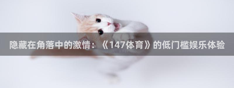 摩根娱乐ccm麻将胡了