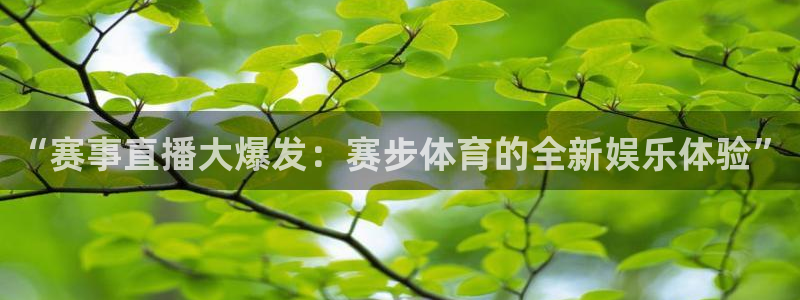 摩根娱乐(com.youad.authst)
