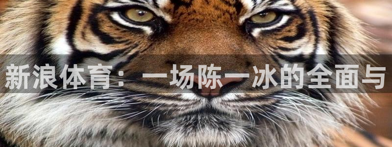 电子游戏摩根娱乐