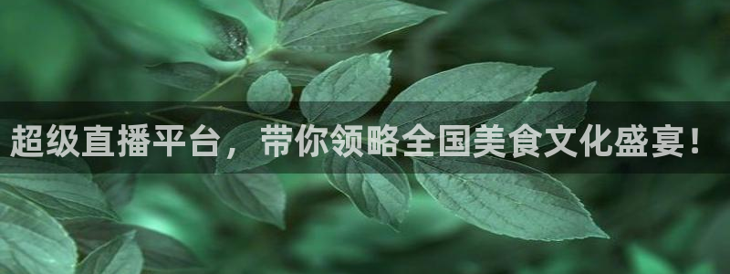 摩根娱乐-ng大舞台,有梦你就来