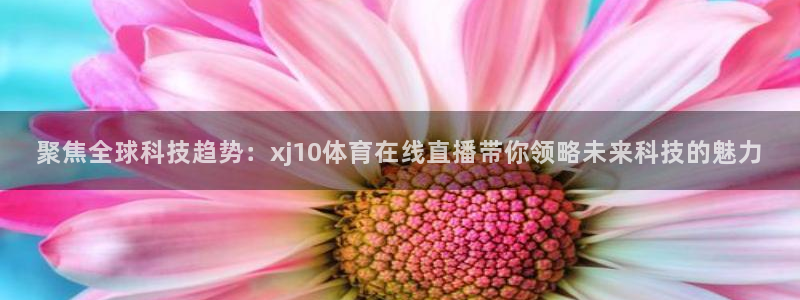 壹号下载安装