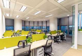 河北虚拟偶像IP矩阵哪里有