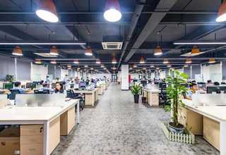 江苏朗盛MACROLEX RED VIOLETR GRAN溶剂染料五星服务