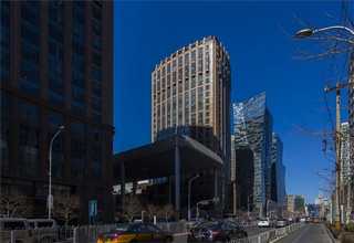 江苏pet塑料刷丝有什么作用