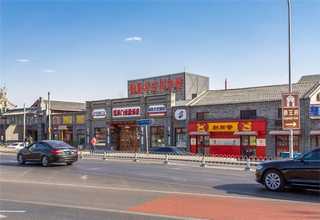 想代理尤加利精油