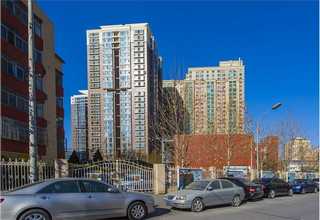 上海如何消灭西瓜虫服价格