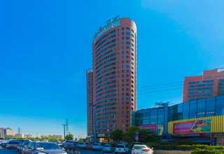 优良纸浆模塑需要多少钱