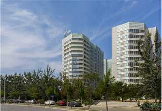 江苏工业紫外线吸收剂UV-1